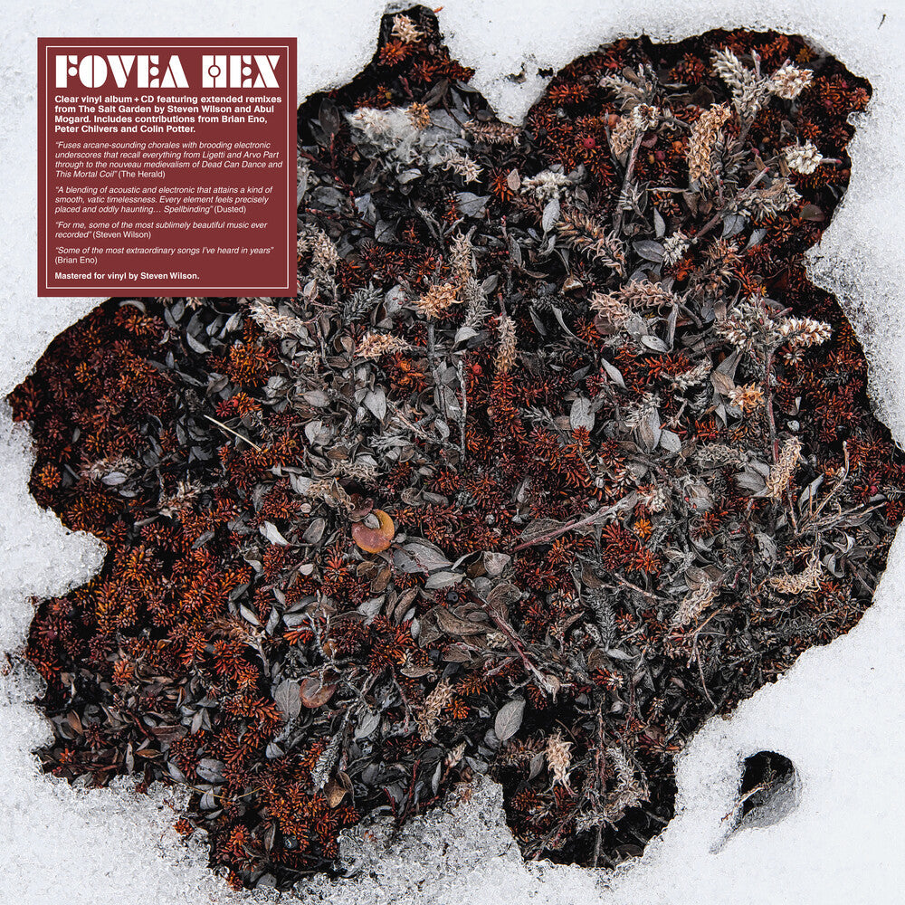 Fovea Hex- Salt Garden (Clear Vinyl) (W/Cd) [Clear Vinyl] - VINYL