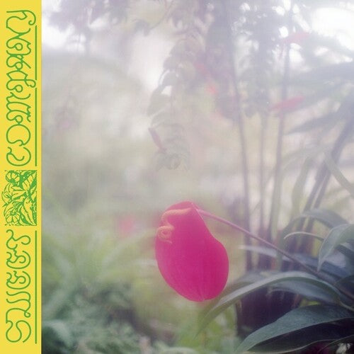 Jabu: Sweet Company  \ CD