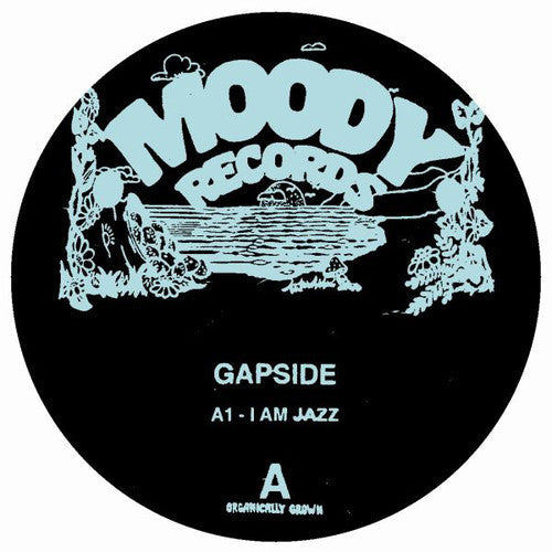 Gapside / Encuentros: Gapside / Encuentros \ LP