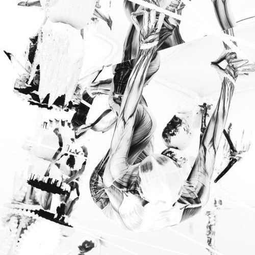 Belp: Crocodile \ LP