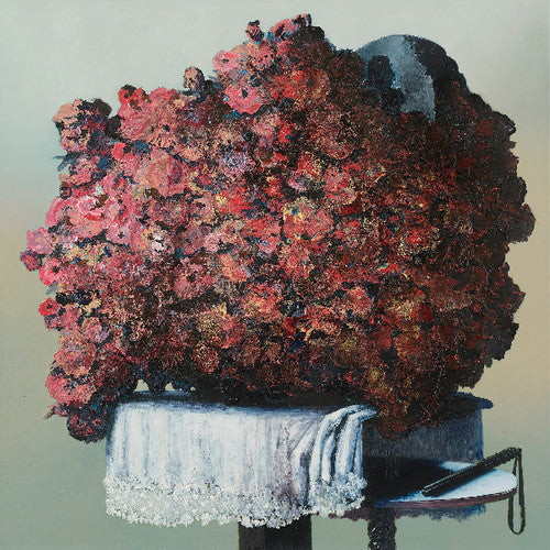 The Caretaker: Everywhere at the End of Time: Stages 4-6  \ CD