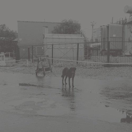 Nivhek- After Its Own Death / Walking In A Spiral Towards The House - VINYL