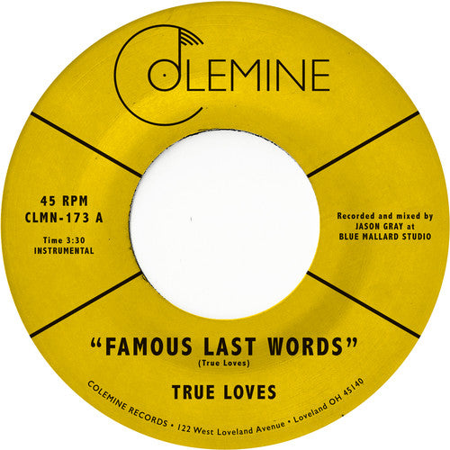 True Loves- Famous Last Words - VINYL