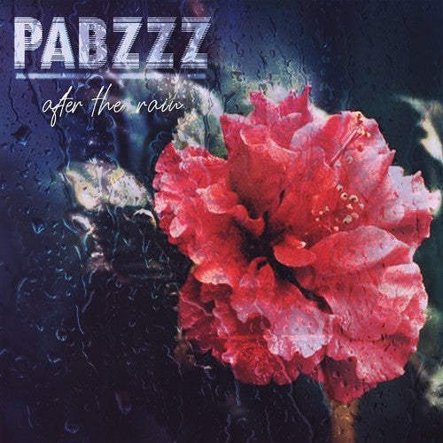 Pabzzz: After The Rain \ LP