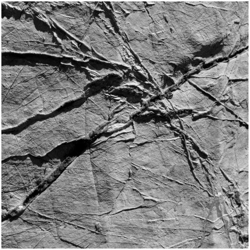 Agf & Various: Arachnesound  \ CD