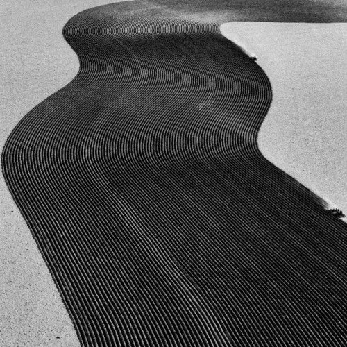 Rainer Veil: Vanity \ LP