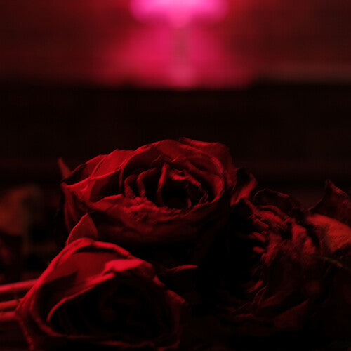 The Paper Kites: Roses - VINYL
