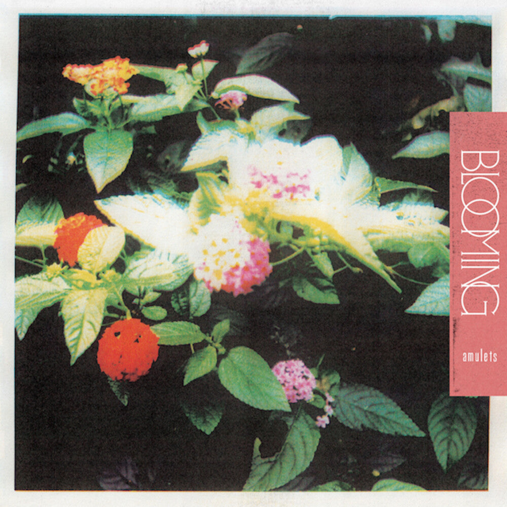 Amulets- Blooming - VINYL