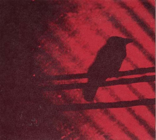 Silver Mt. Zion: Born Into Trouble As the Sparks Fly Upward \ LP