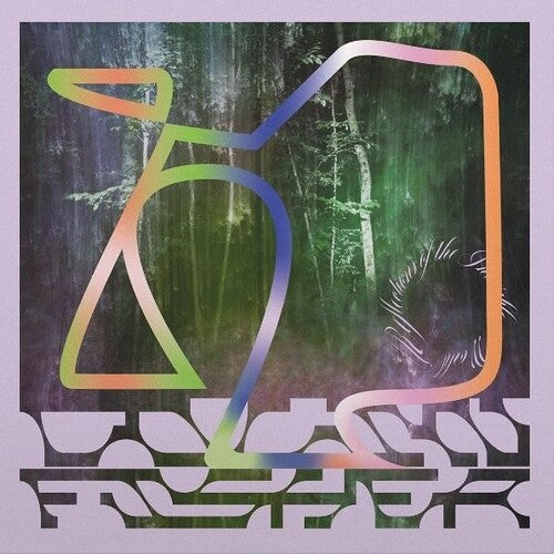 Colin Fisher: Reflections Of The Invisible World \ LP