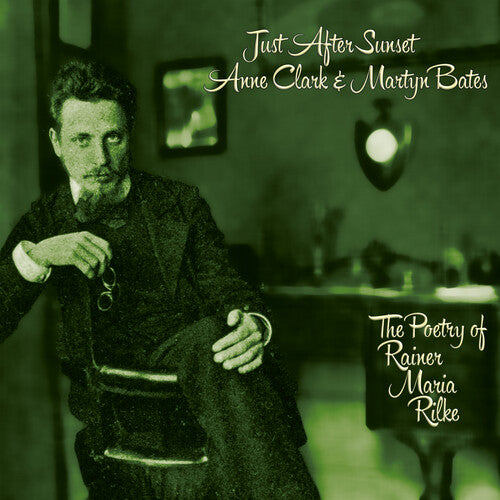Anne Clark: Just After Sunset  \ CD