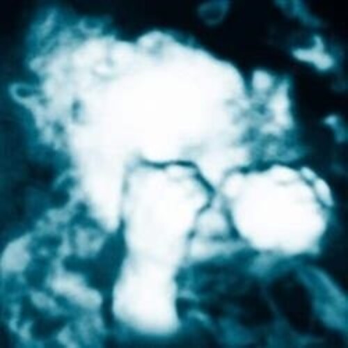 Sandra Monfort- Nino Reptil Angel - VINYL