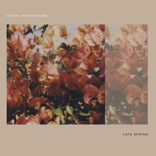 Chihei Hatakeyama: Late Spring  \ CD