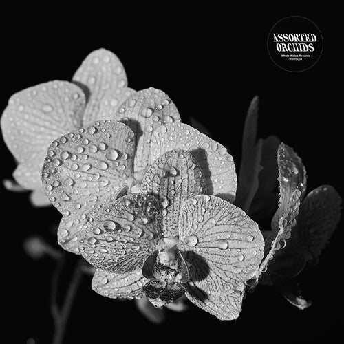 Assorted Orchids: Assorted Orchids \ LP