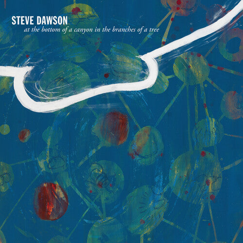 Steve Dawson- At The Bottom Of A Canyon In The Branches Of Tree - VINYL
