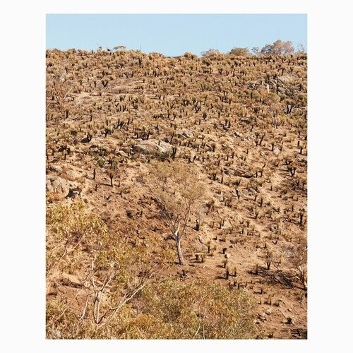 Andrew Pekler: Palimpsests \ LP