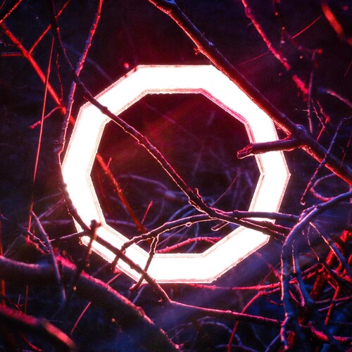 Hybrid Minds: Reflections \ LP