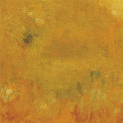 Bevel: Where Leaves Block the Sun  \ CD
