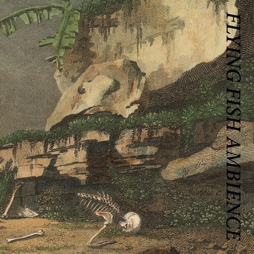 Rainforest Spiritual Enslavement: Flying Fish Ambience  \ CD