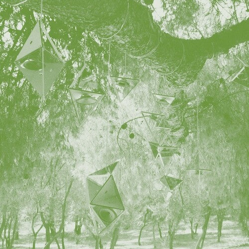 Steve Roden: Oionos  \ CD