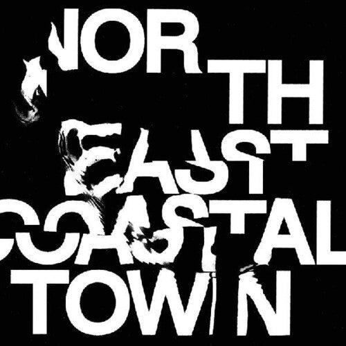 The Life- North East Coastal Town - VINYL