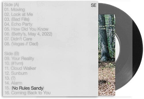 Sylvan Esso: No Rules Sandy \ LP
