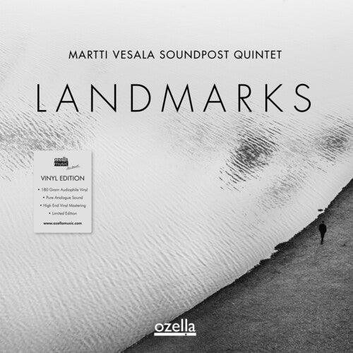 Landmarks - VINYL