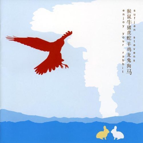 Sufjan Stevens: Enjoy Your Rabbit  \ CD