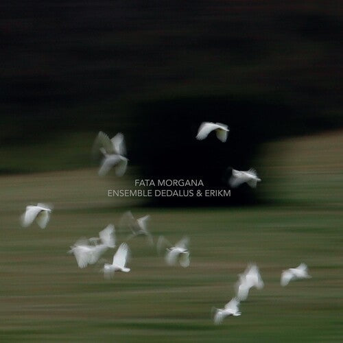 Ensemble Dedalus: FATA MORGANA  \ CD