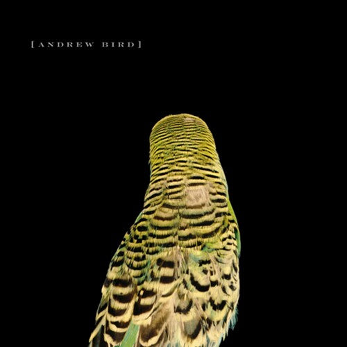 Andrew Bird: Armchair Apocrypha  \ CD