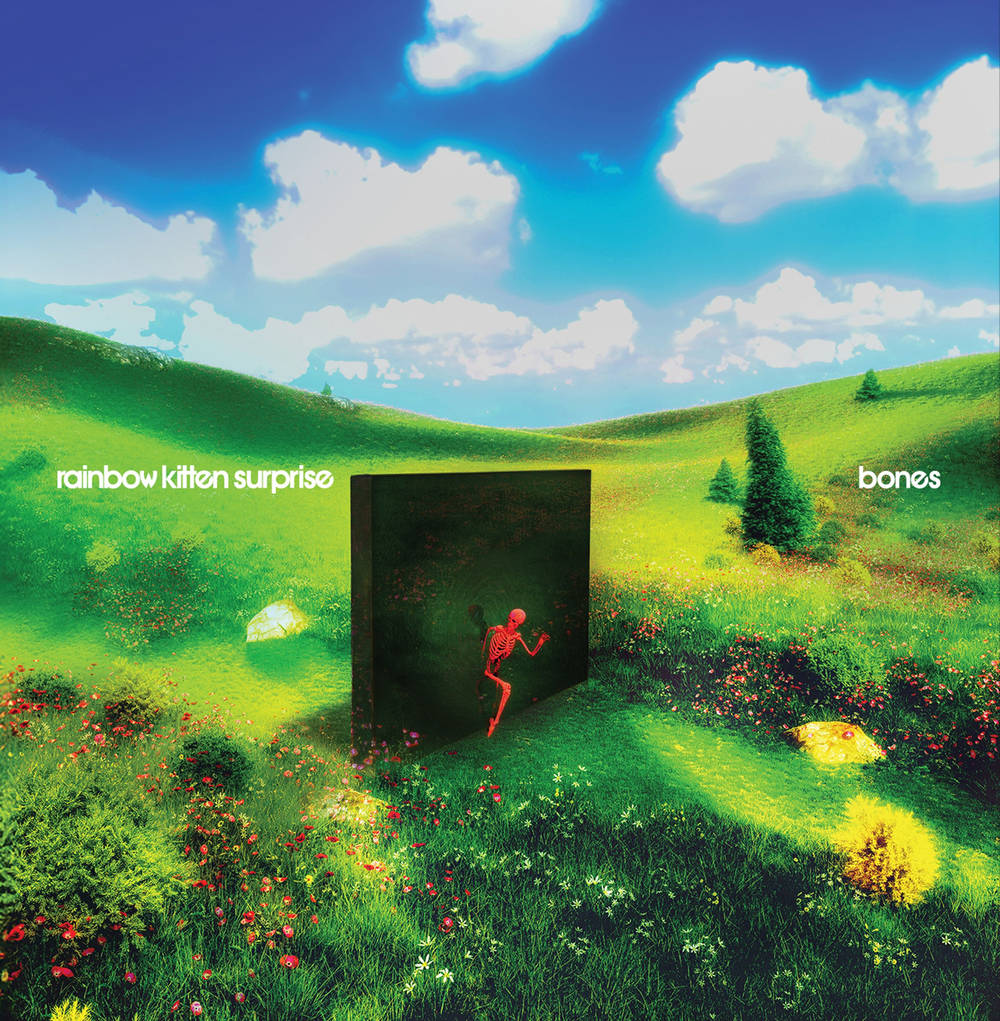 Rainbow Kitten Surprise- bones - VINYL