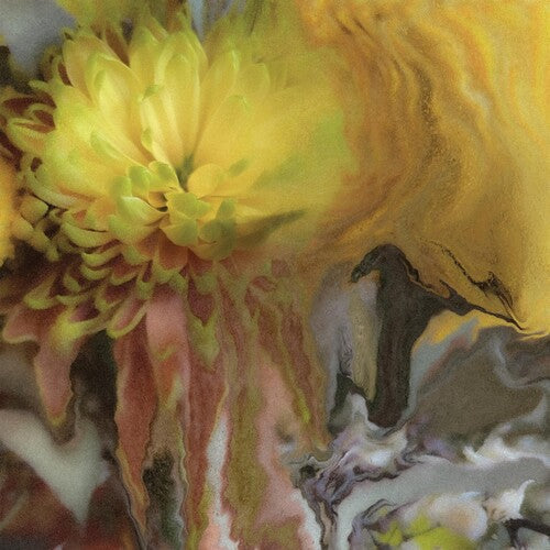Parker Millsap: Wilderness Within You  \ CD