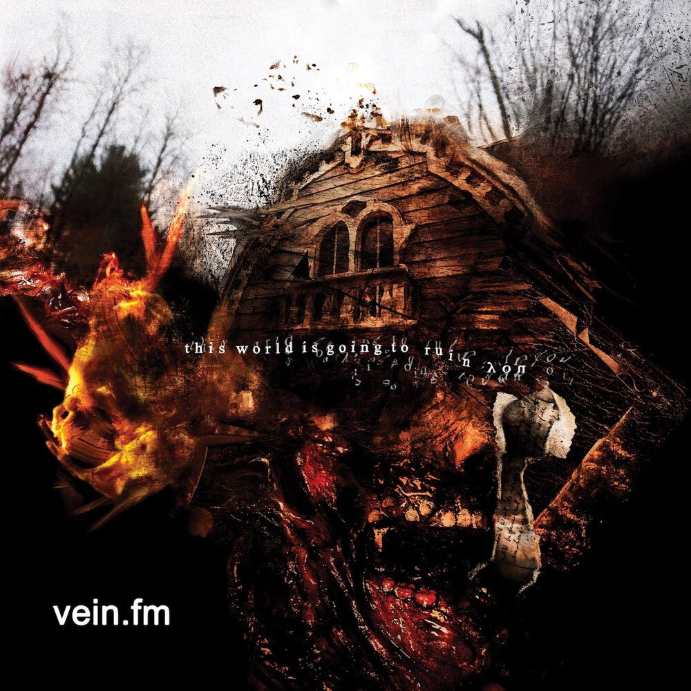 Vein.Fm- This World Is Going To Ruin You - VINYL