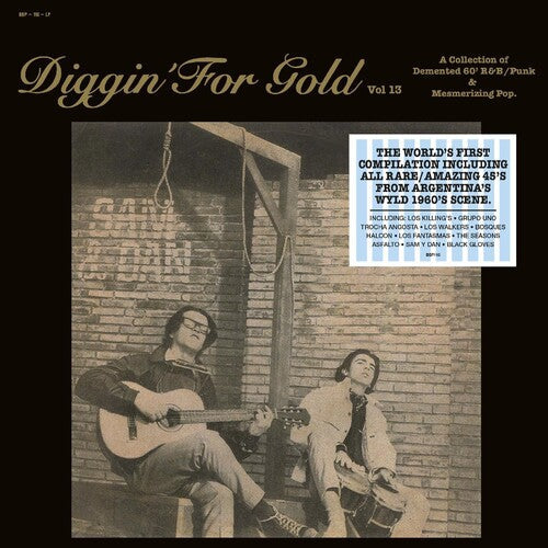 Various Artists: Diggin' For Gold Vol. 13 (Various Artists) - VINYL