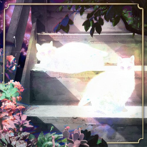 Scary Jokes: Retinal Bloom \ LP