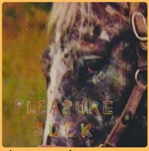Spirit of the Beehive- Pleasure Suck - VINYL