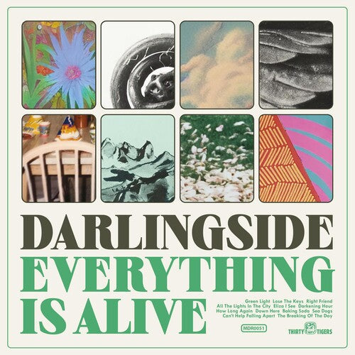 Darlingside: Everything Is Alive  \ CD