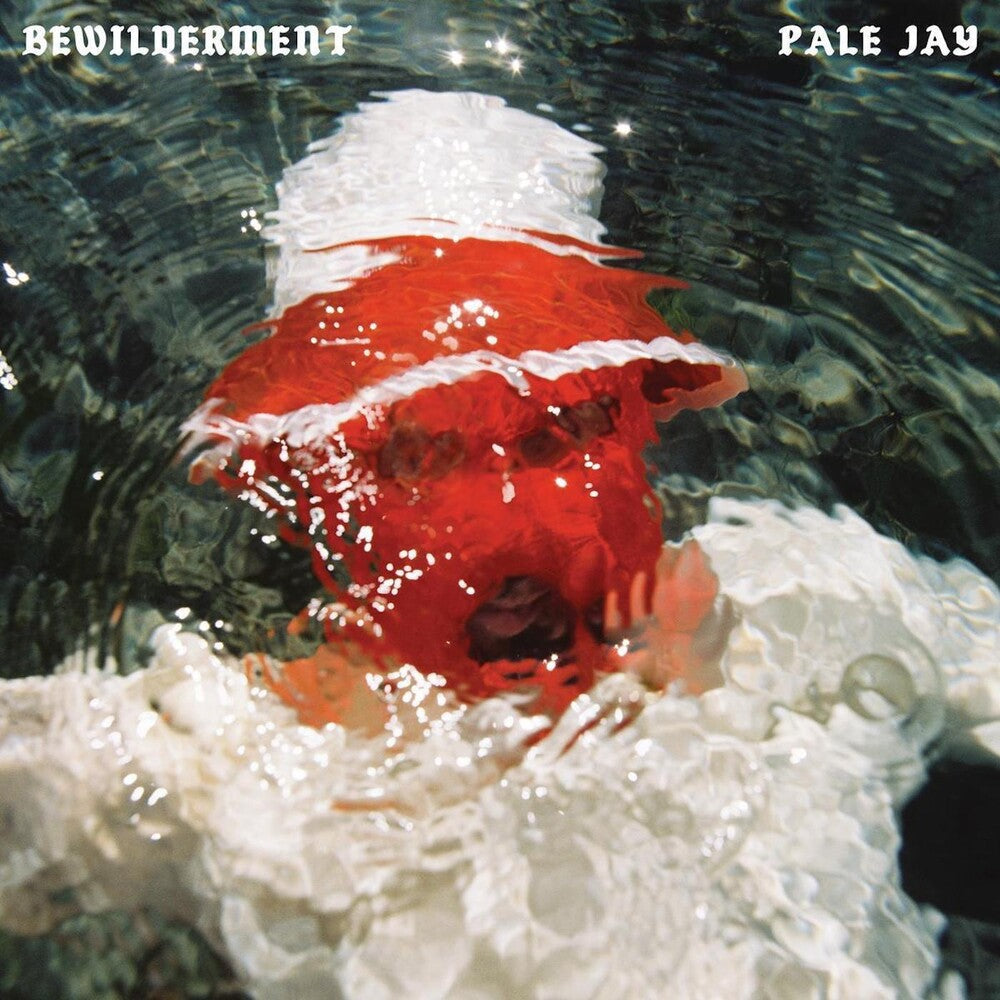 Pale Jay- Bewilderment [LP] - VINYL