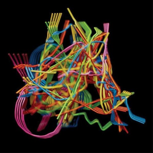 Dustin Wong: Perpetual Morphosis  \ CD