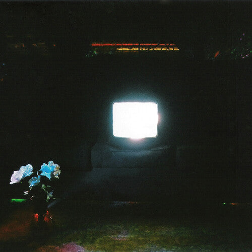 The Emeralds: Does It Look Like I'm Here? - Ectoplasm \ LP