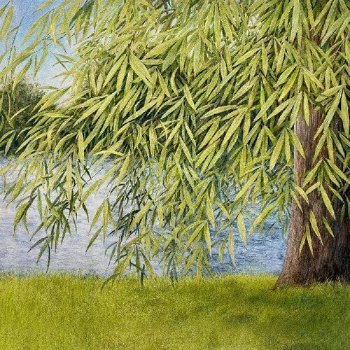 Martin Simpson: Nothing But Green Willow : The Songs Of Mary Sands And Jane Gentry  \ CD