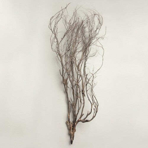 Mary Jane Leach: Woodwind Multiples \ LP