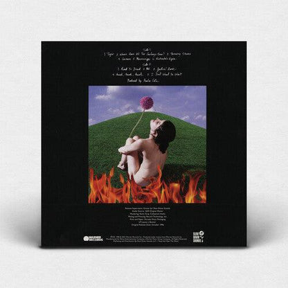 Paula Cole- This Fire (Indie Exclusive Blue Vinyl) - VINYL