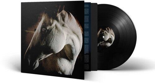 Brother Dege- How To Kill A Horse - VINYL