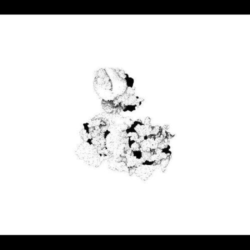 Anna Webber & Matt Mitchell: Capacious Aeration - CD