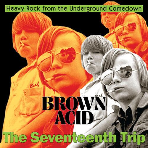 Various Artists- Brown Acid - The Seventeenth Trip (Various Artists) - VINYL