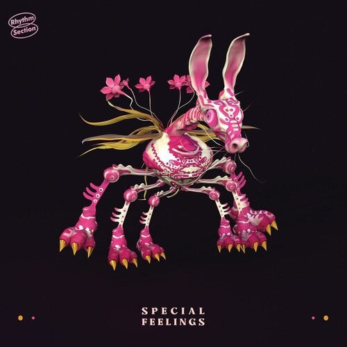 Special Feelings: Special Feelings \ LP