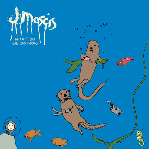 J Mascis: What Do We Do Now - CASSETTES