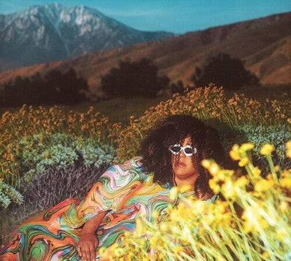 Brittany Howard- What Now - VINYL