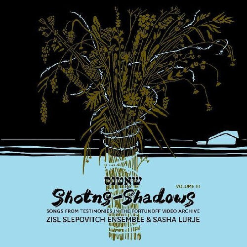 ZISL Slepovitch Ensemble: Archive 3 \ LP